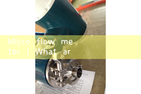 micro flow meter|magnetic flow meter